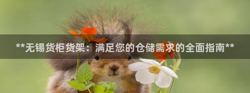 杏运娱乐平台注册地址在哪里