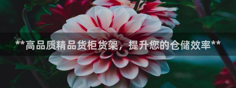 杏运体育平台正规吗安全吗