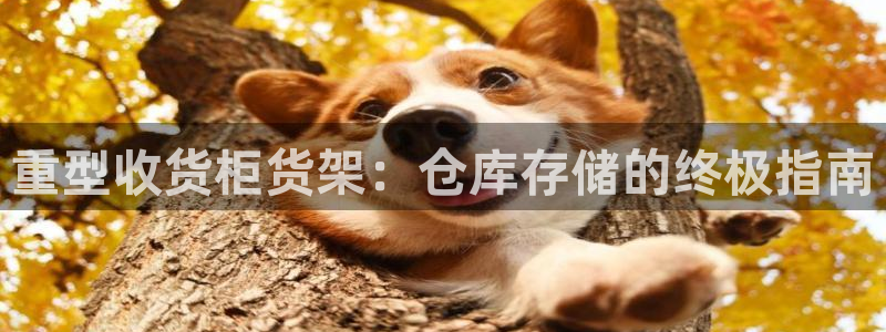杏运体育注册