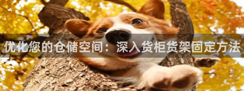 杏运体育平台正规吗安全吗可信吗