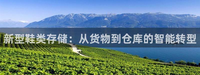杏运注册登录地址