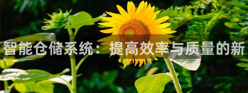 杏运体育app