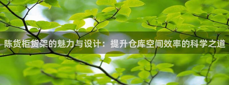 杏运相伴