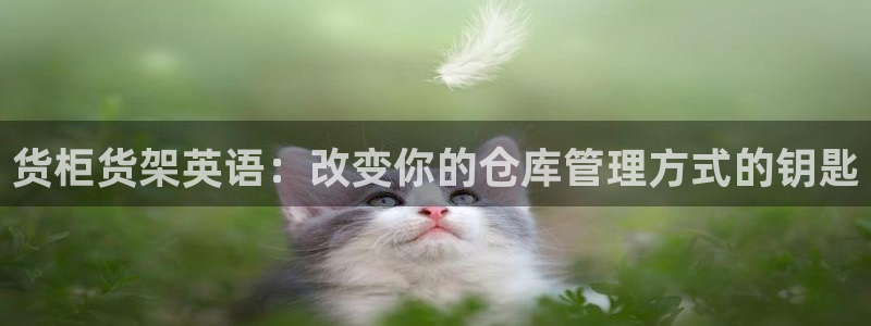 杏运体育怎么样：货柜货架英语：改变你的仓