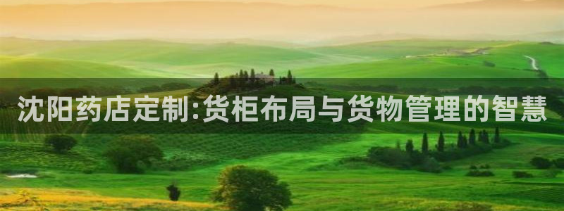杏运体育官网：沈阳药店定制:货柜布局与货