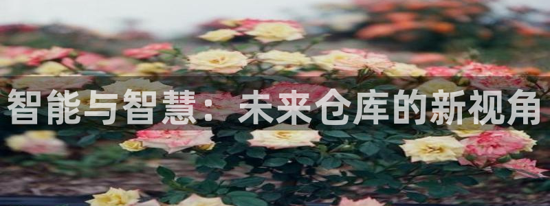 杏运娱乐怎么样：智能与智慧：未来仓库的新
