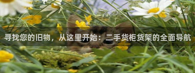 杏运平台官方网站
