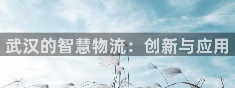杏运体育官方网址：武汉的智慧物流：创新与