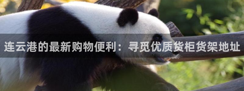 杏运体育