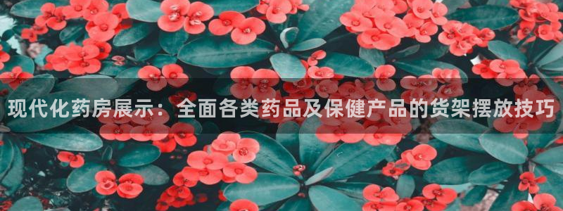 杏运新能源