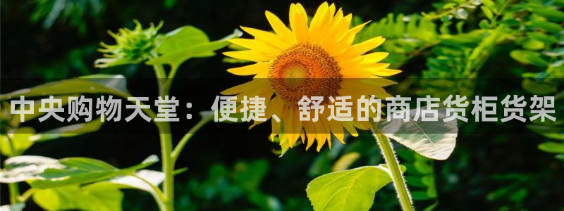 杏运登录