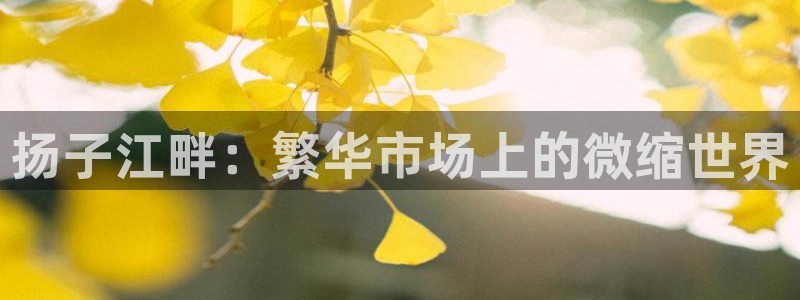 杏运体育app下载安装
