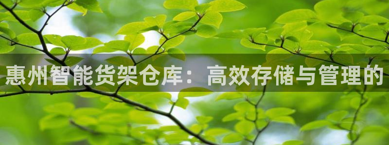 杏运体育注册