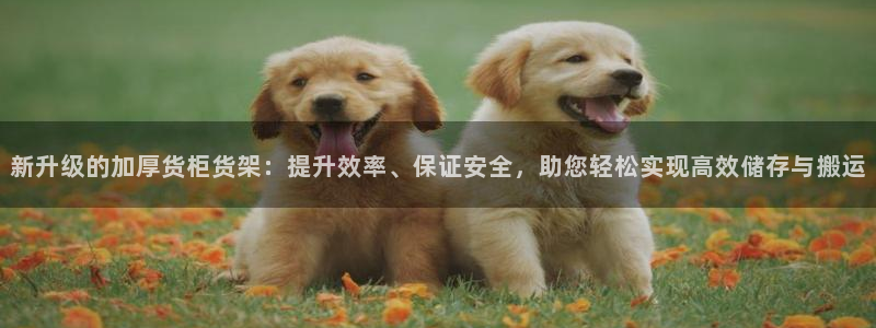杏运体育app下载安装手机版