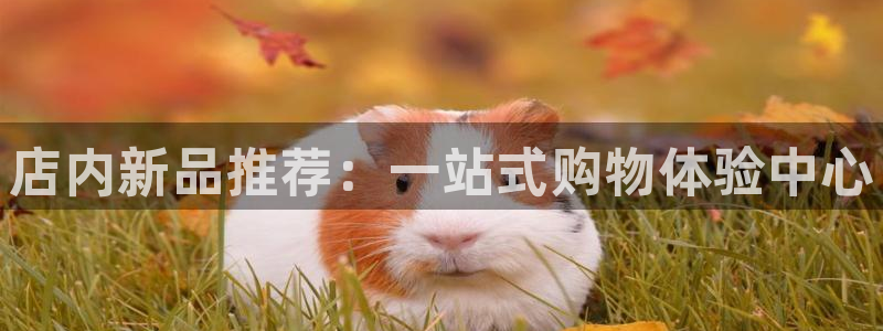 杏运体育注册