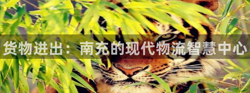 杏运体育app下载安装手机版