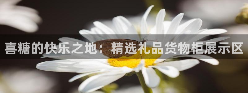 杏运体育官方网址登录