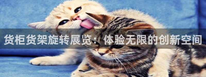 杏运体育官方网址登录