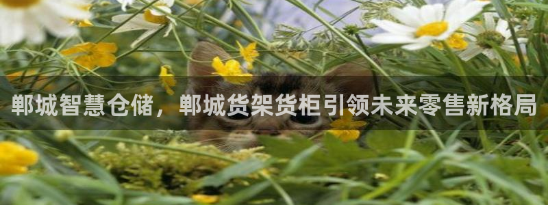 杏运平台注册