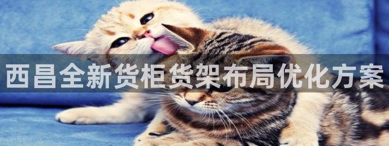 杏运注册登录