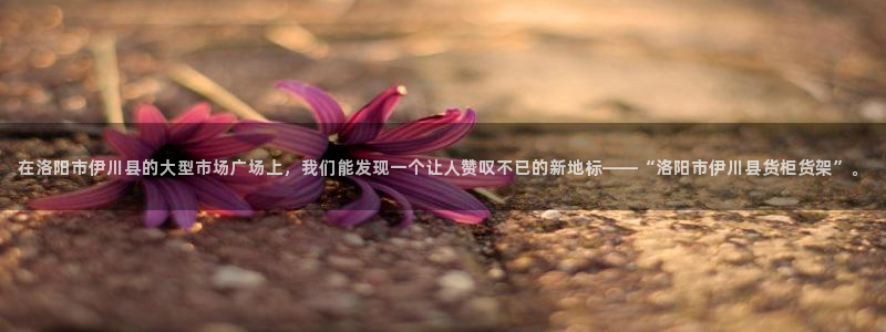 杏运体育app