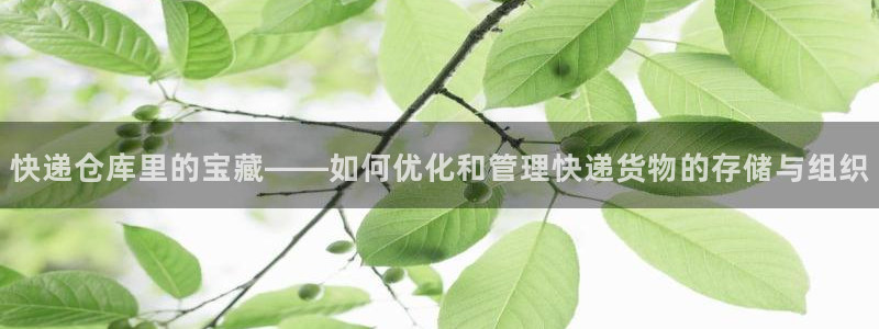 杏运体育官方网址