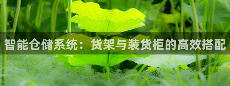 杏运体育网：智能仓储系统：货架与装货柜的
