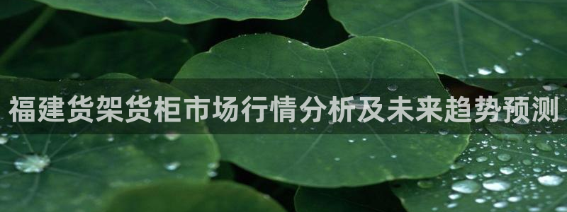 杏运注册登录：福建货架货柜市场行情分析及