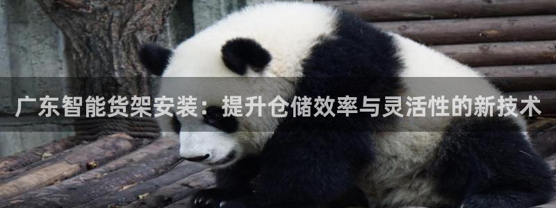 杏运体育app
