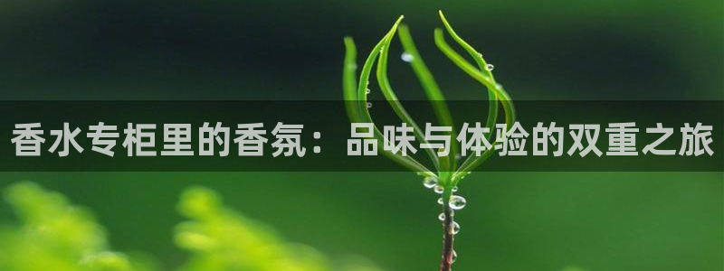杏运平台代理