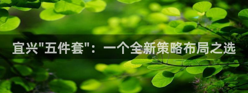 杏运注册账号