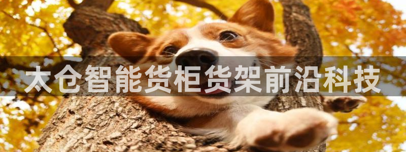 杏运体育官方网址：太仓智能货柜货架前沿科