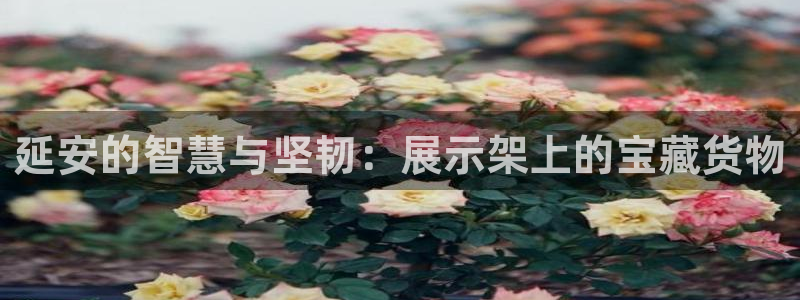 杏运注册登录