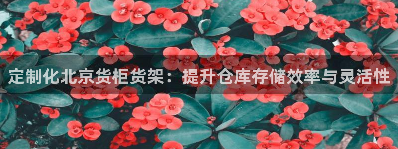杏运体育平台