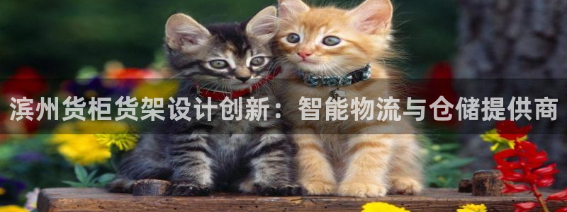 杏运汽车
