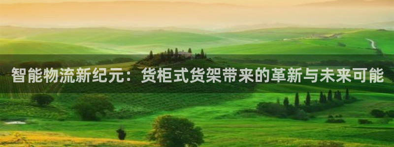 杏运平台代理：智能物流新纪元：货柜式货架