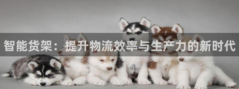 杏运汽车