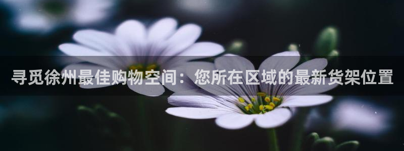 杏运体育app
