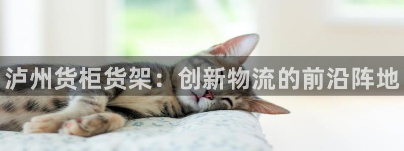 杏运平台官方网站