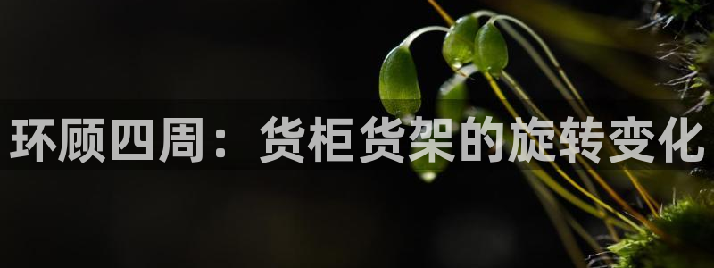 杏运体育平台正规吗安全吗