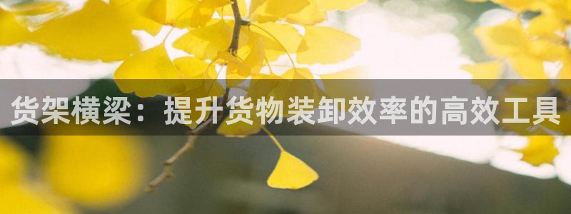杏运体育平台正规吗安全吗