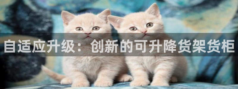 杏运新能源