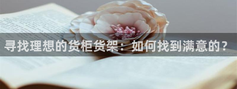 杏运注册平台：寻找理想的货柜货架：如何找