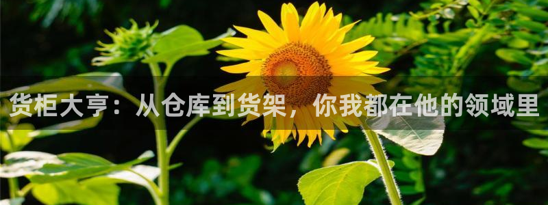 杏运注册登录地址：货柜大亨：从仓库到货架