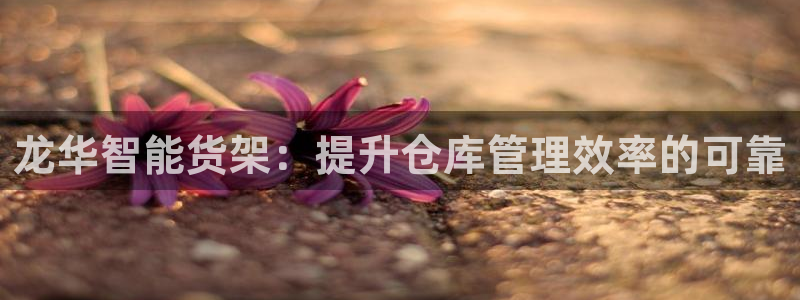 杏运体育娱乐：龙华智能货架：提升仓库管理