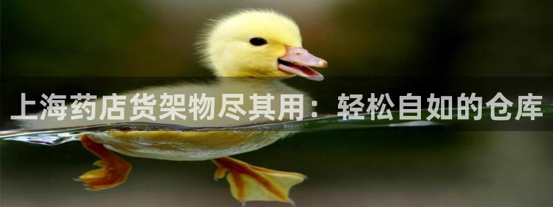 杏运代理