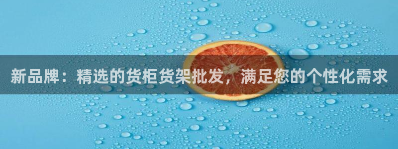 杏运平台代理：新品牌：精选的货柜货架批发