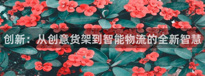 杏运体育平台正规吗安全吗可信吗