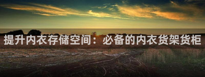 杏运注册登录地址