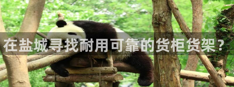 杏运体育登录：在盐城寻找耐用可靠的货柜货